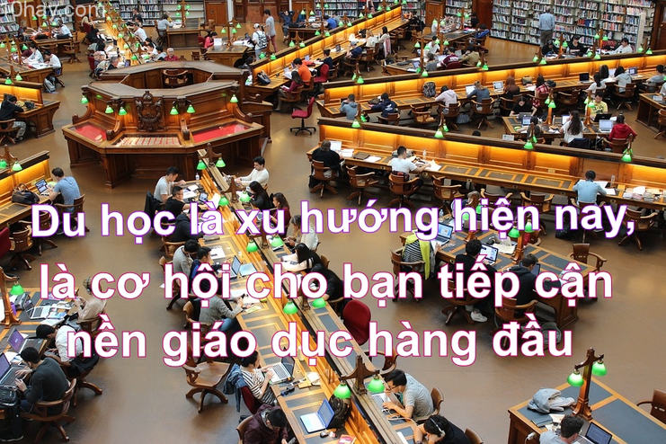 Thông tin du học Mỹ, Nhật, Châu Âu