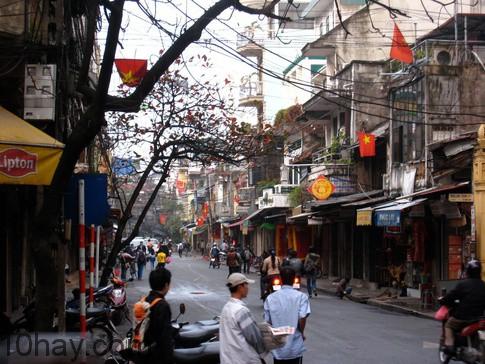 pho-co-ha-noi