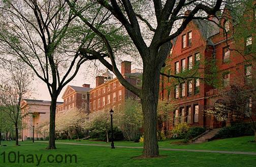 Brown University