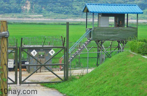Panmunjeon DMZ