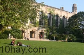 Northwestern University