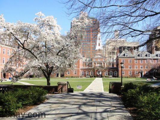 Yale University