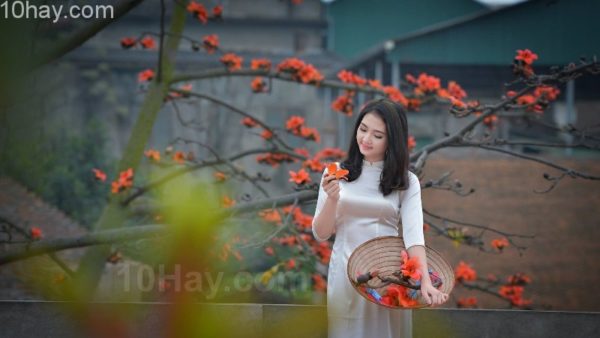 Chụp hình với Hoa Gạo