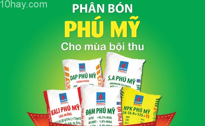 Công ty phân bón Phú Mỹ