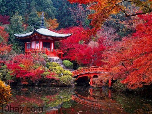 Kyoto (Japan-Nhật Bản)