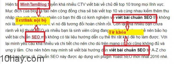 Đầu bài