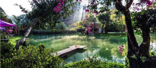 Ảnh: Lan Anh, Mưa rừng lữ quán