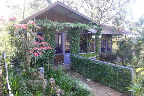 Pine Hill Homestay Dalat