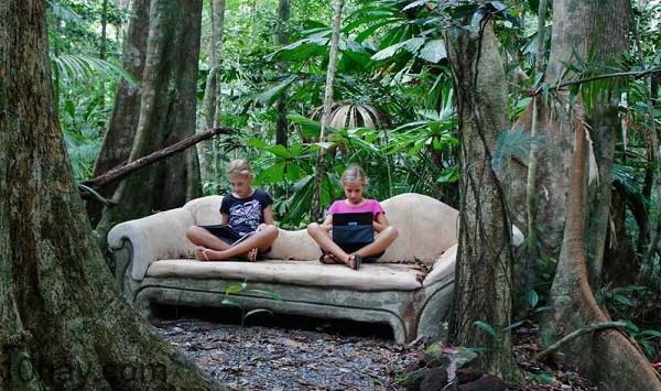 Rừng Daintree