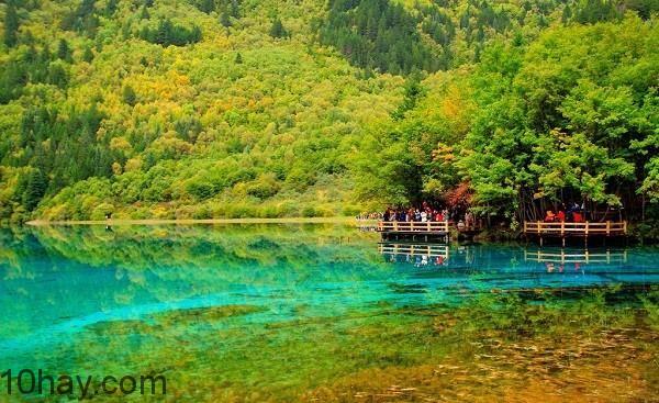 Rừng Jiuzhaigou