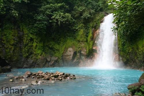 Rừng Monteverde