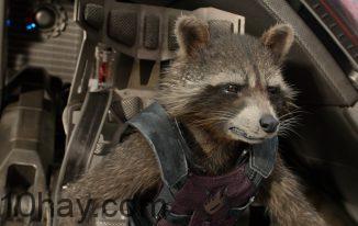 Rocket Raccoon