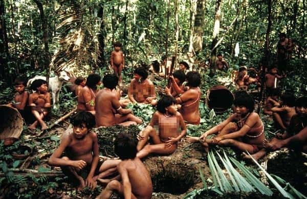 Bộ tộc Yanomami