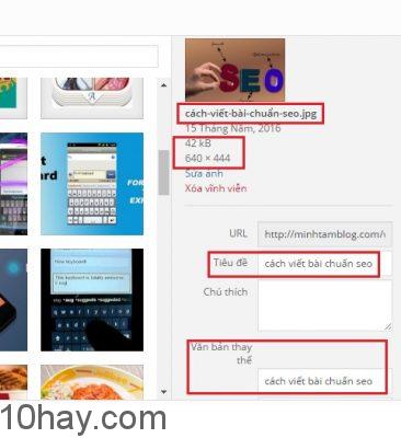 chi tiết hình đại diện