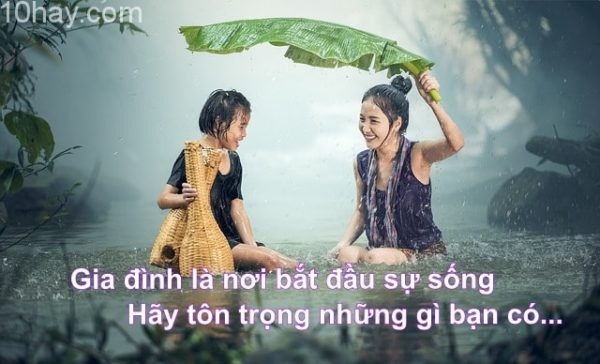 Gia đình là tổ ấm của mọi người