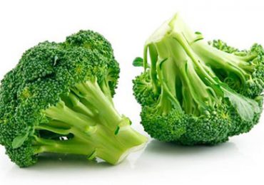 suckhoe_sup_lo_xanh