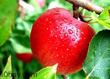 thực phẩm tăng cường trí nhớ