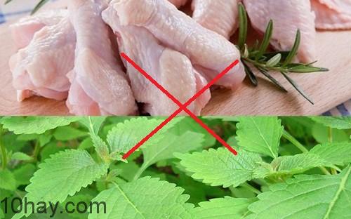Thịt gà và rau kinh giới