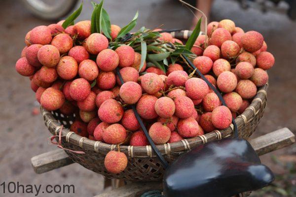trái vải Ý nghĩa ngày tết Đoan ngọ