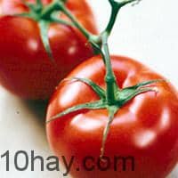 Cà chua - thực phẩm giúp tăng cường trí tuệ ngừa bệnh Alzheimer