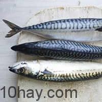 Dầu cá - thực phẩm giúp tăng cường trí tuệ, não, tim, khớp và nhiều bộ phận khác của cơ thể
