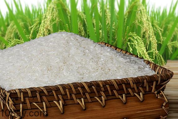 Gạo: thực phẩm giúp tăng cân nhanh chóng với chi phí rất “hạt dẻ”