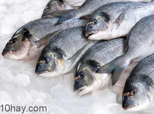 Thực phẩm có lợi cho sữa mẹ