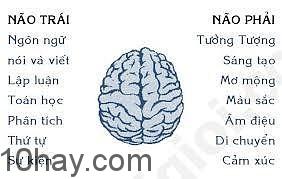 Lý do bạn nên học tiếng Nhật