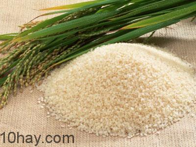 Gạo chưa chế biến chứa dưỡng chất nhiều