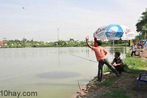 Thả thính là gì