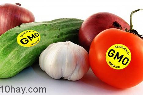 Thực phẩm biến đổi gen