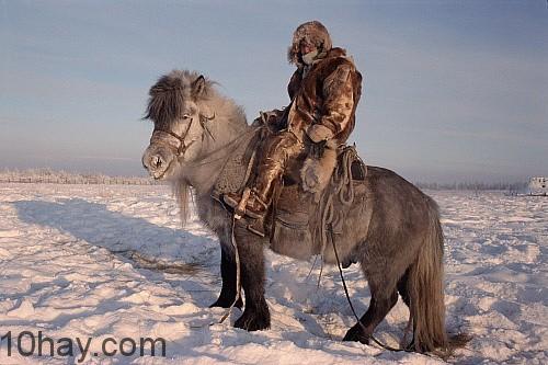 Verkhoyansk