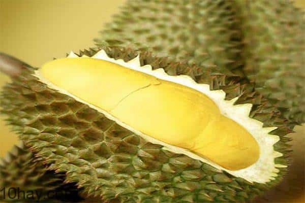 Vườn Long Khánh