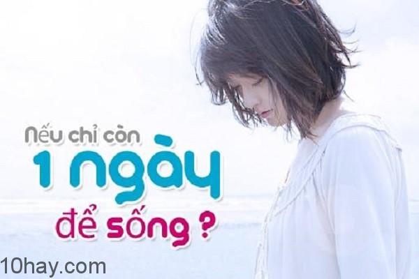 Bạn sẽ làm gì ?