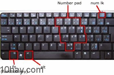 Khắc phục lỗi bàn phím laptop gõ chữ ra số