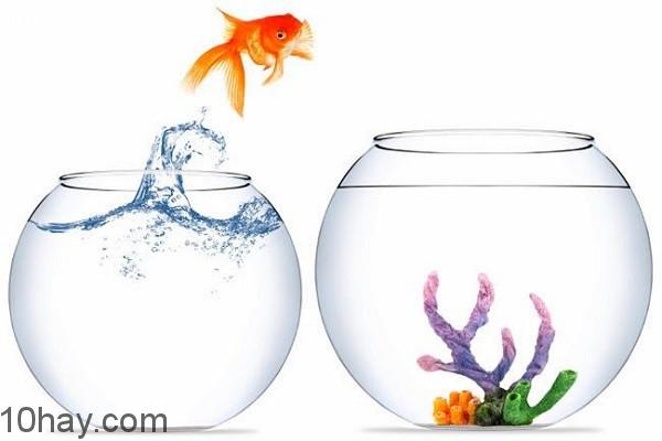 Mục tiêu hôm nay là gì?