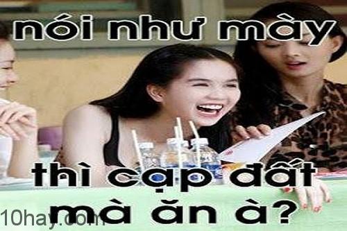 Thả thính là gì