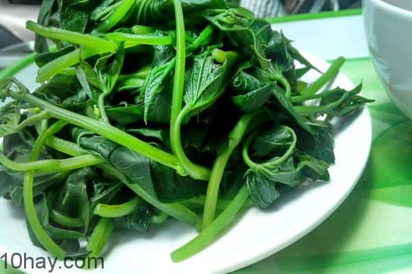 Thực phẩm có lợi cho sữa mẹ