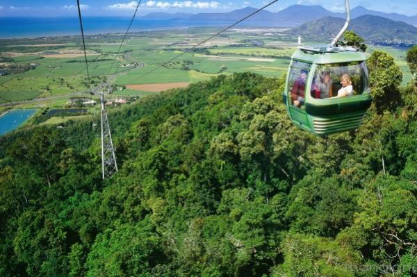 Đi cáp treo để ngắm nhìn toàn cảnh rừng Gondwana