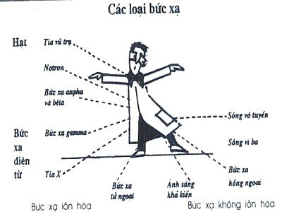 cac loai buc xa
