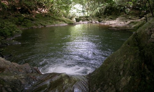ngu ho