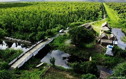Rừng U Minh Hạ