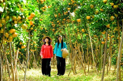 Vườn trái cây Tân Quy