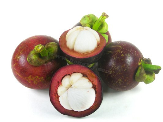Măng cụt Chợ Lách