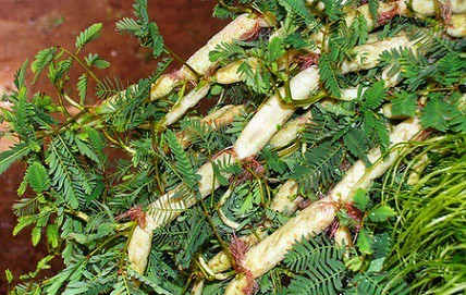 Rau nhút (rau rút)