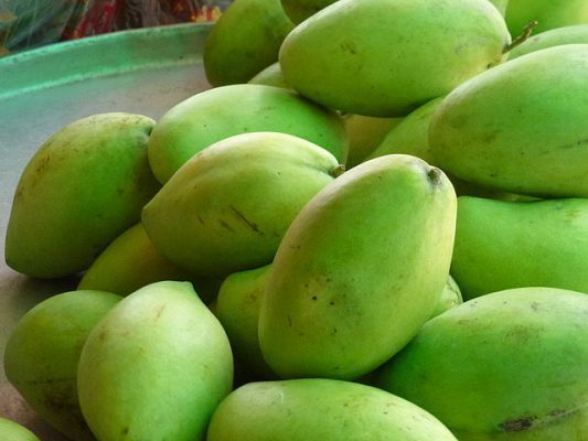 Xoài cát Hòa Lộc