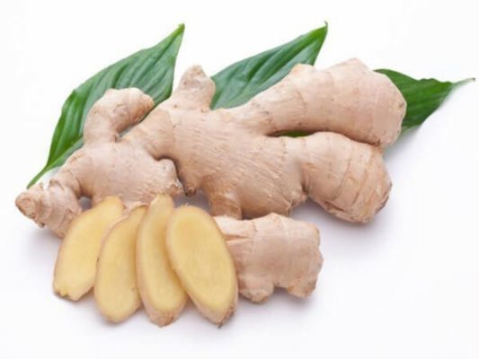 Cây gừng , tên khoa học ( Zingiber officinale (Willd.) Roscoe )