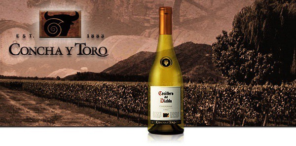 Thương hiệu Concha Y Toro