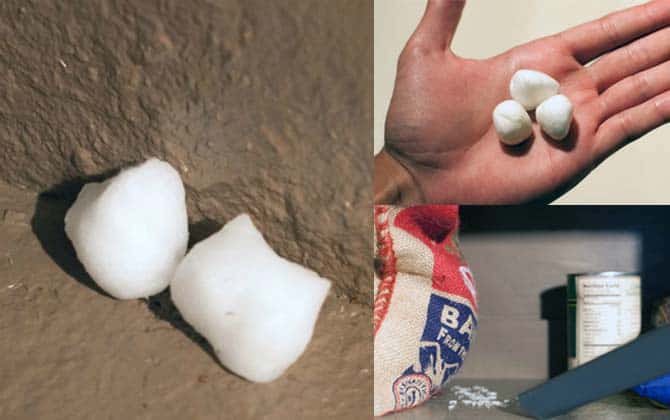 mẹo đuổi chuột đơn giản mẹo đuổi chuột đơn giản