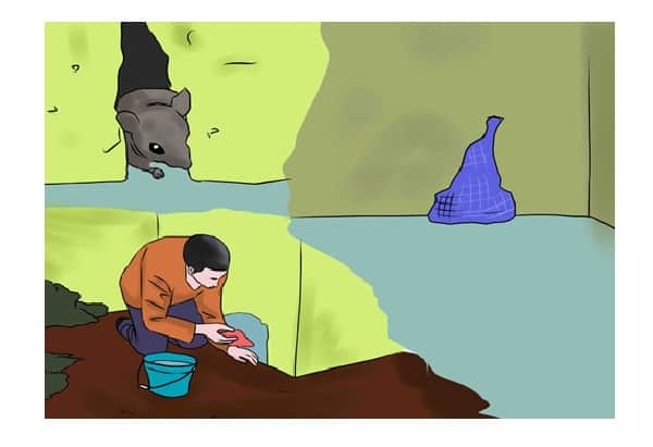mẹo đuổi chuột đơn giản mẹo đuổi chuột đơn giản
